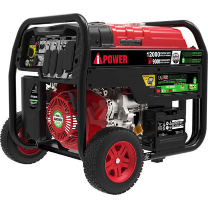 Picture of 12000W Dual Fuel Generator E-start