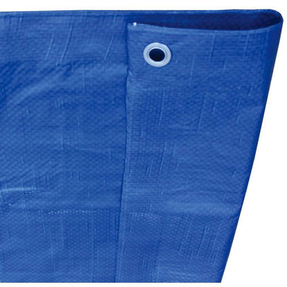 Picture of 40-ft x 60-ft Blue Standard Polyethylene Tarp