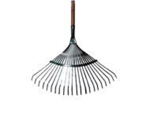 Picture of Wood Handle Rake