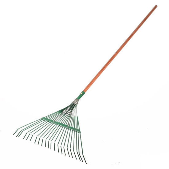 Picture of Spring Rake