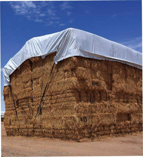 Picture of 28-Ft X 48-Ft White Hay AG Cover Polyethylene Tarp