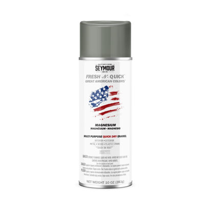 Picture of Spray Paint Magnesium11-49